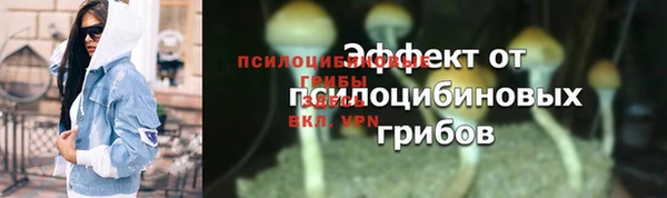 ECSTASY Абаза