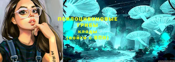 таблы Алексин